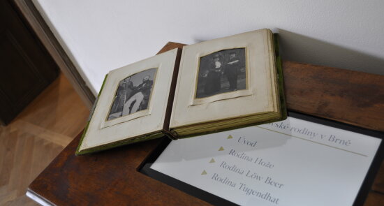 Guided Tour Following the Footsteps of the Tugendhat, Hože, and Löw-Beer Families